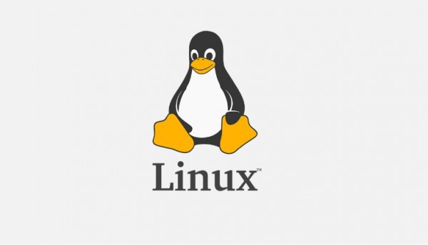 курсы по Linux